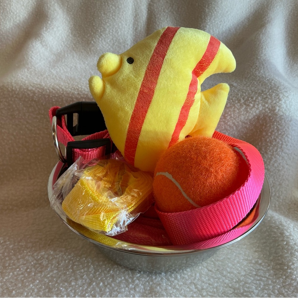 6 piece Pet Toy and Accessory Set NEW
